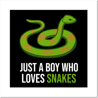 Just a boy who loves snakes Posters and Art